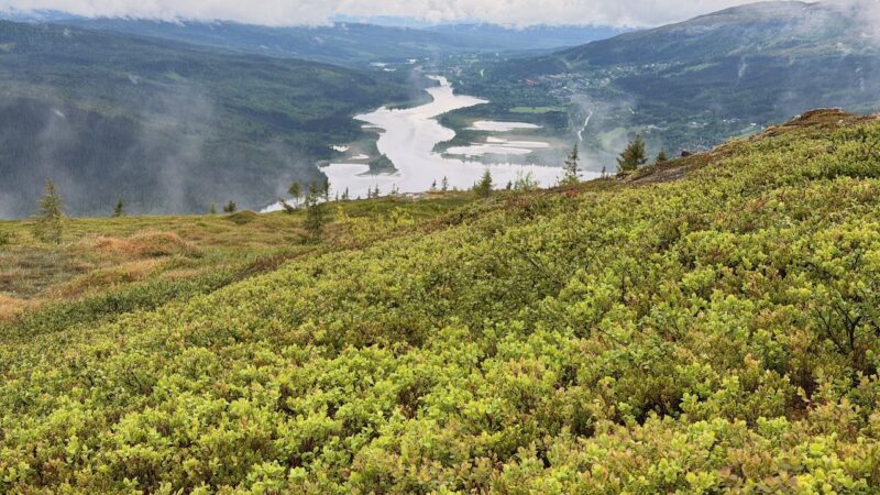Summer hiking in Are, Sweden. Image © PlanetSKI